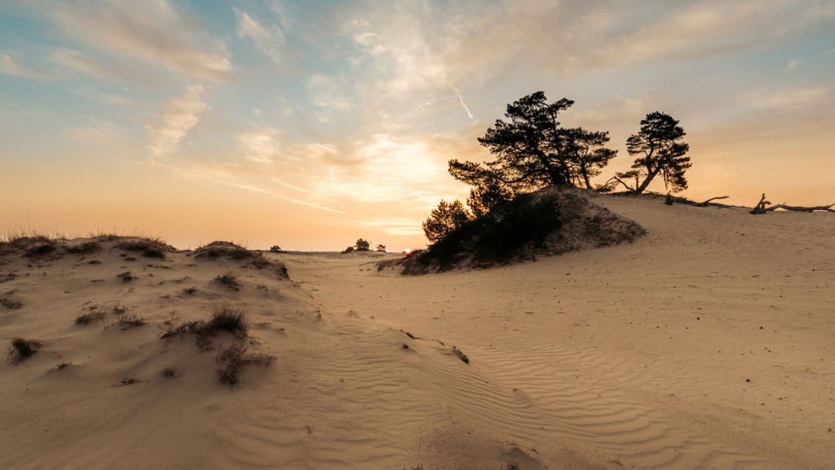 Ontdek de zandverstuivingen van Kootwijkerzand op onze huur MTB's