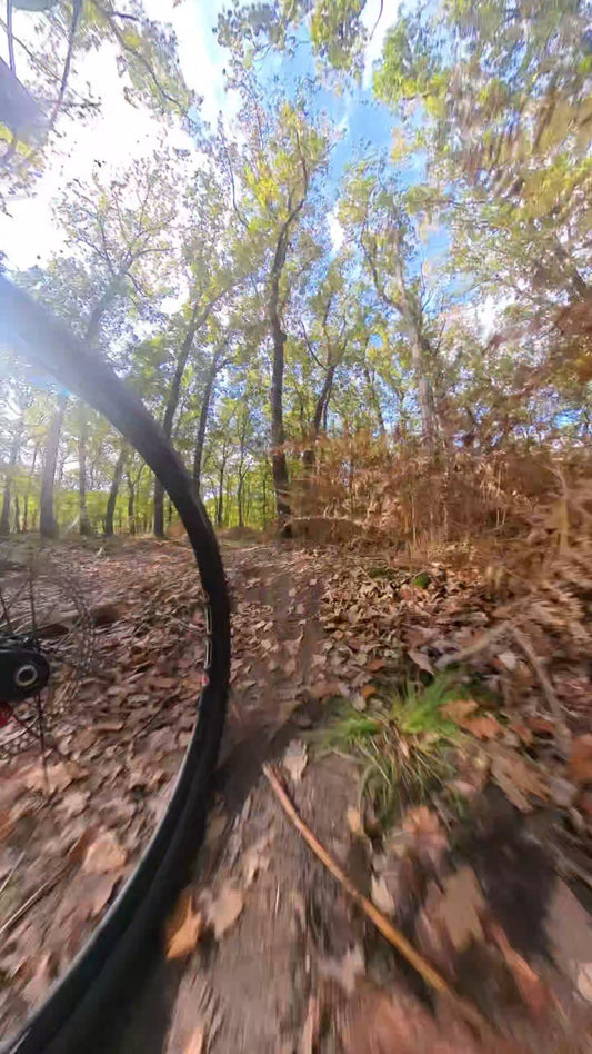 mountainbike huren veluwe