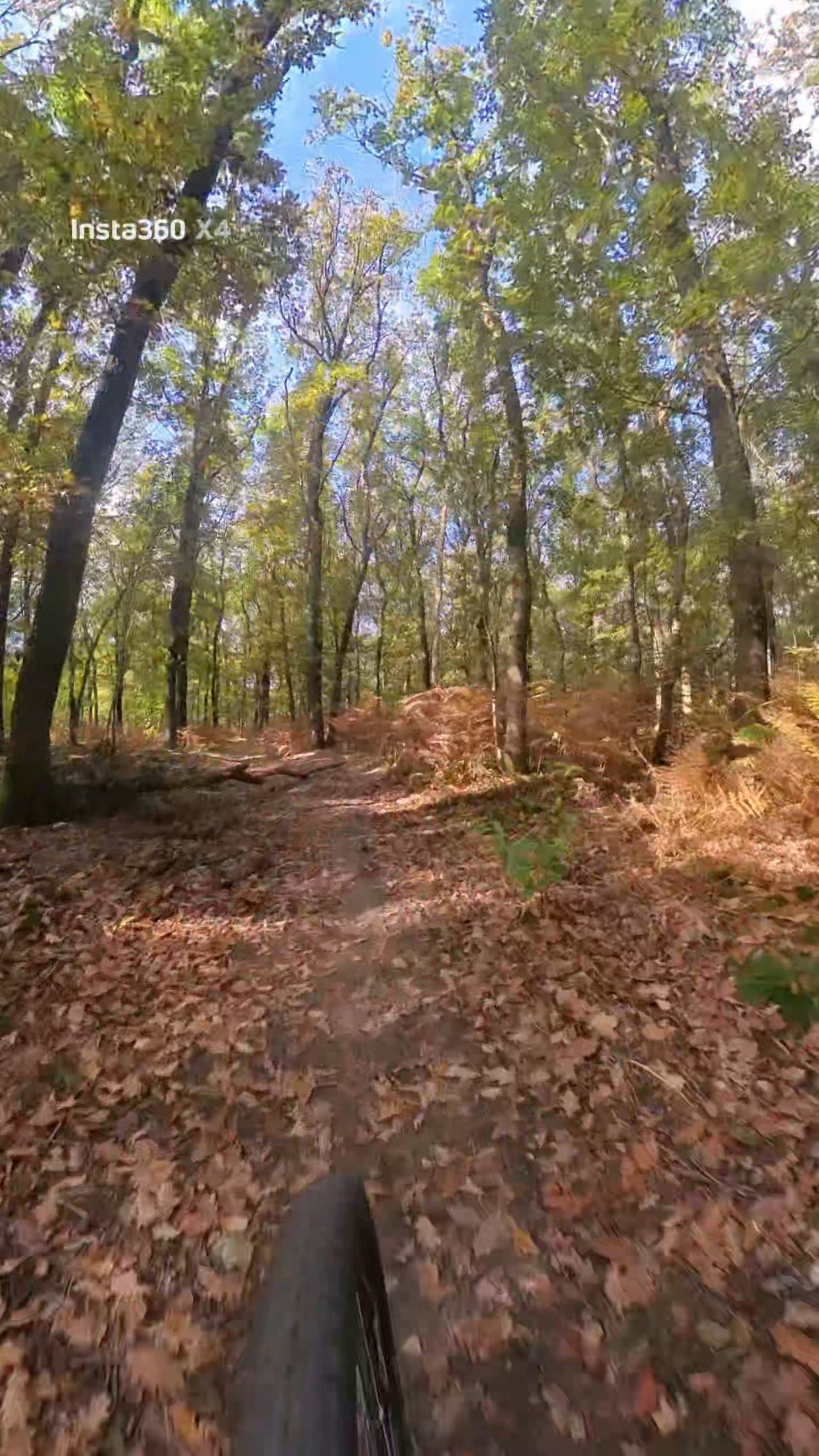 mountainbike huren veluwe