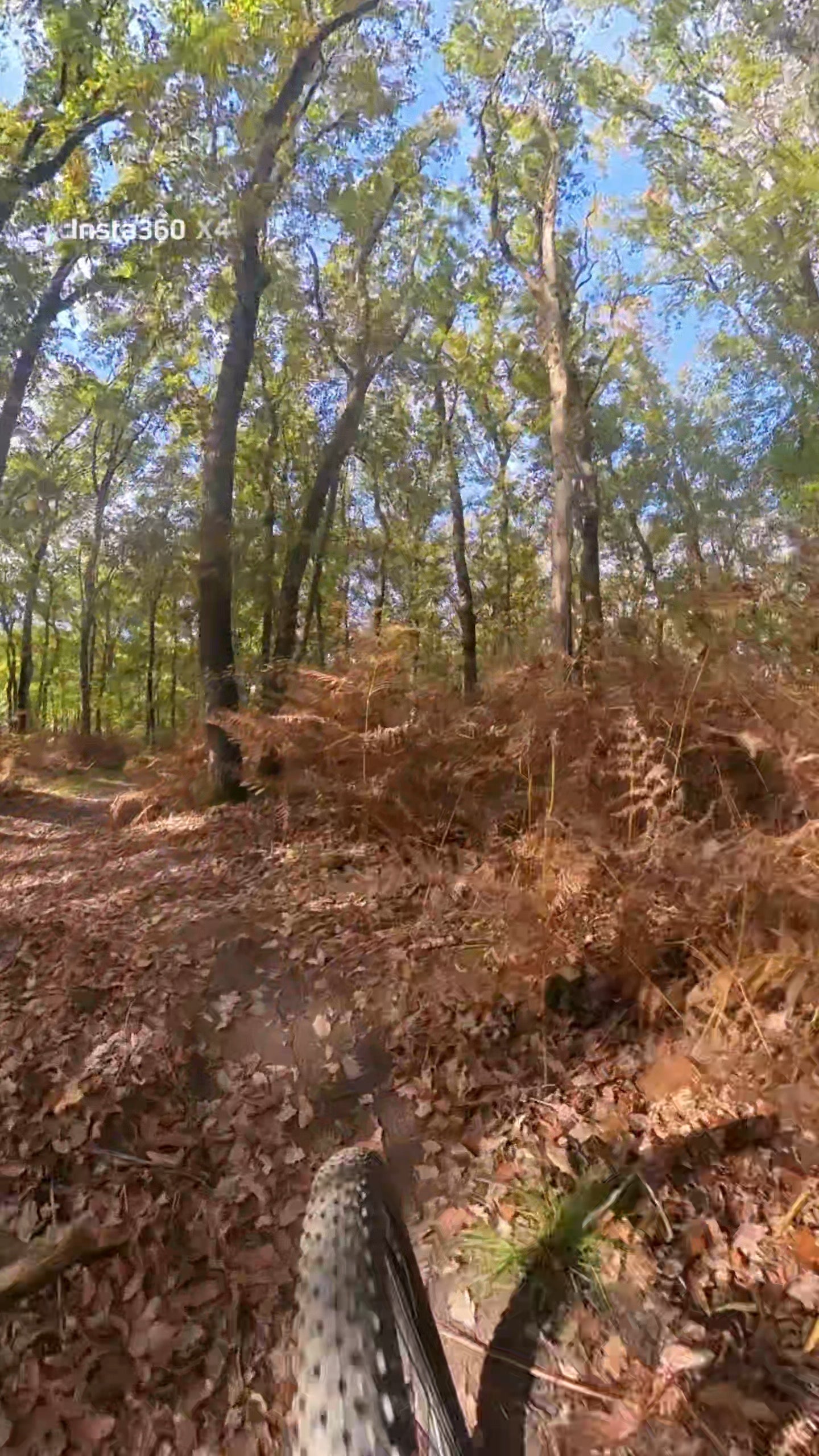 mountainbike huren veluwe