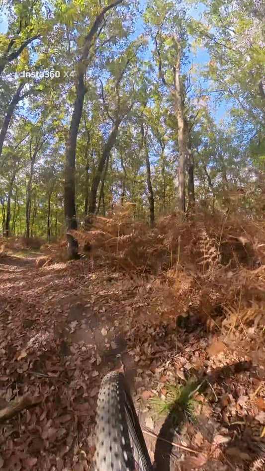 mountainbike huren veluwe