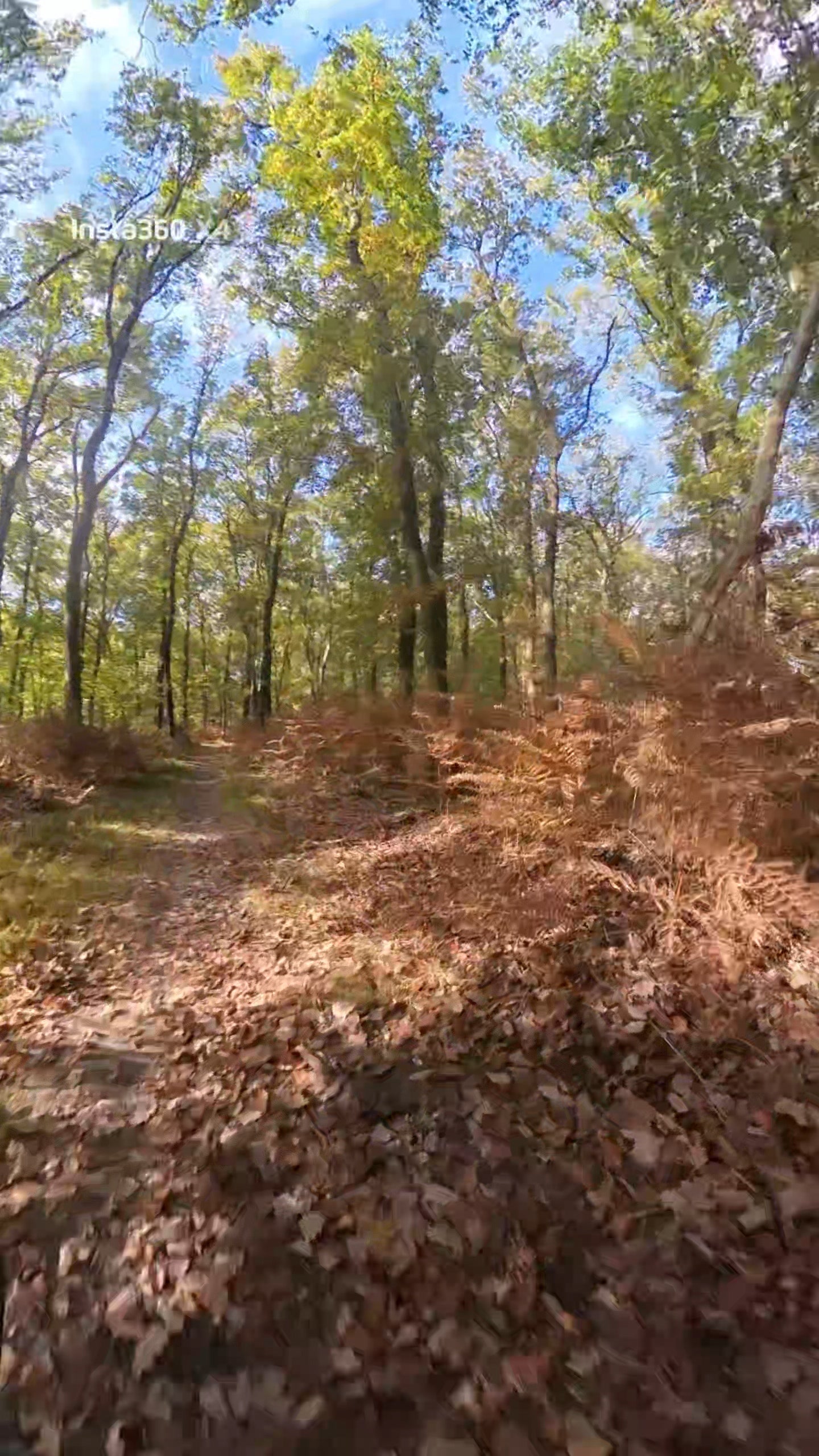 mountainbike huren veluwe