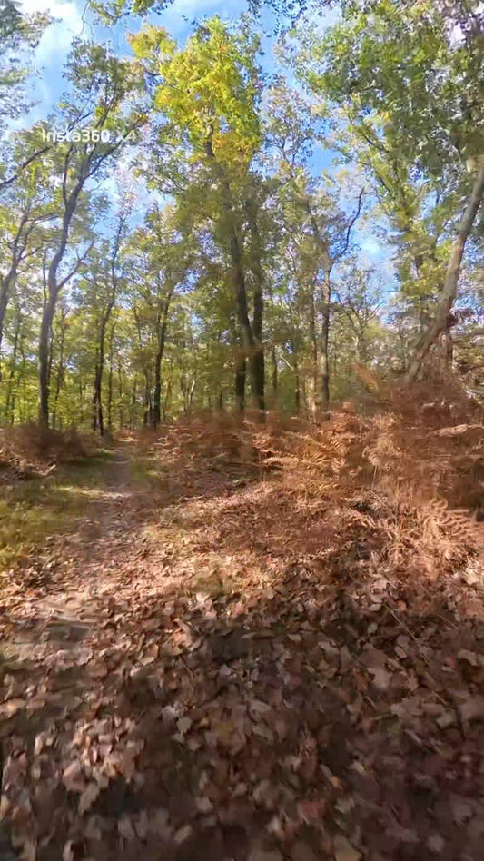 mountainbike huren veluwe