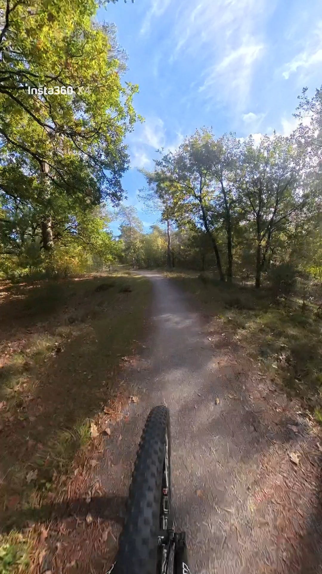 mountainbike huren voorthuizen