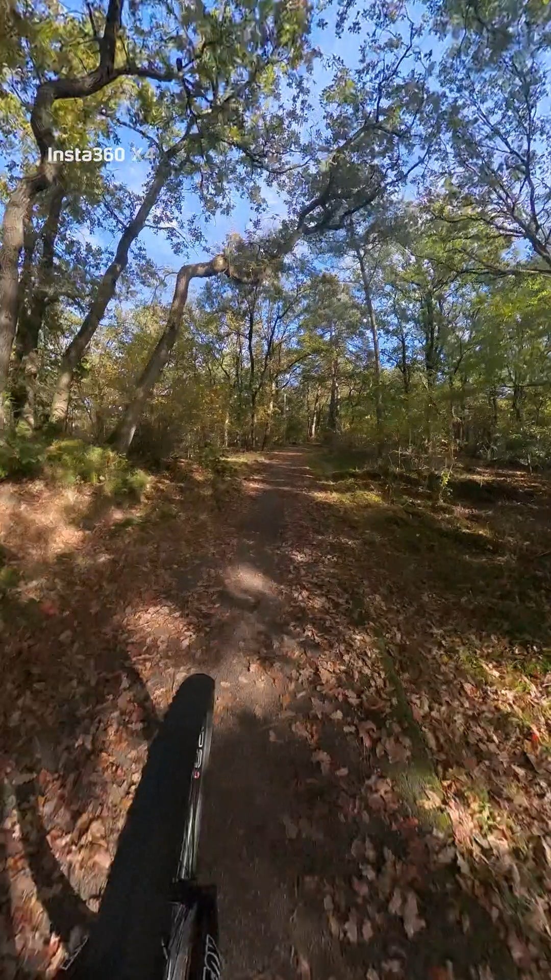 mountainbike huren voorthuizen