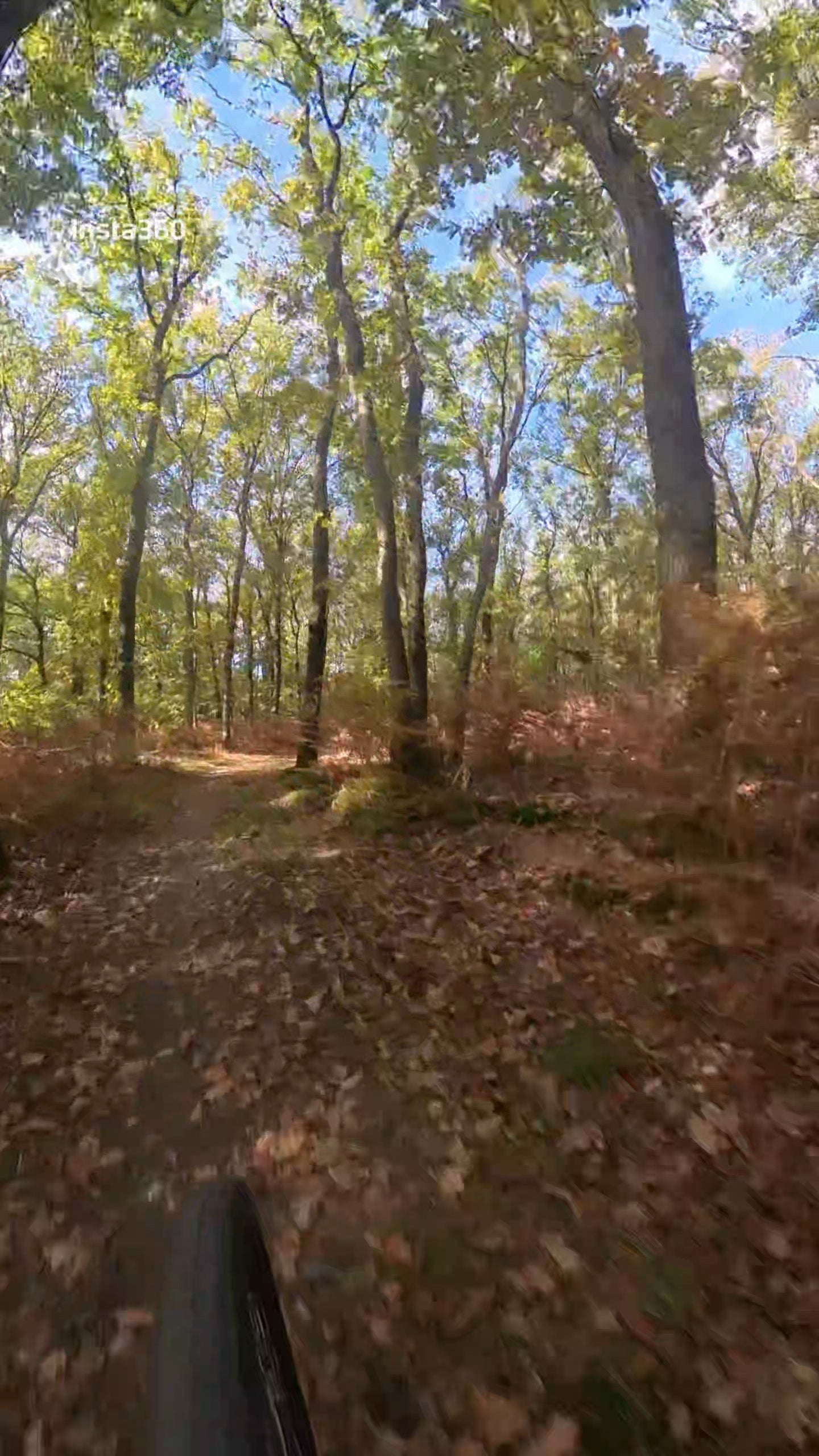 mountainbike verhuur veluwe