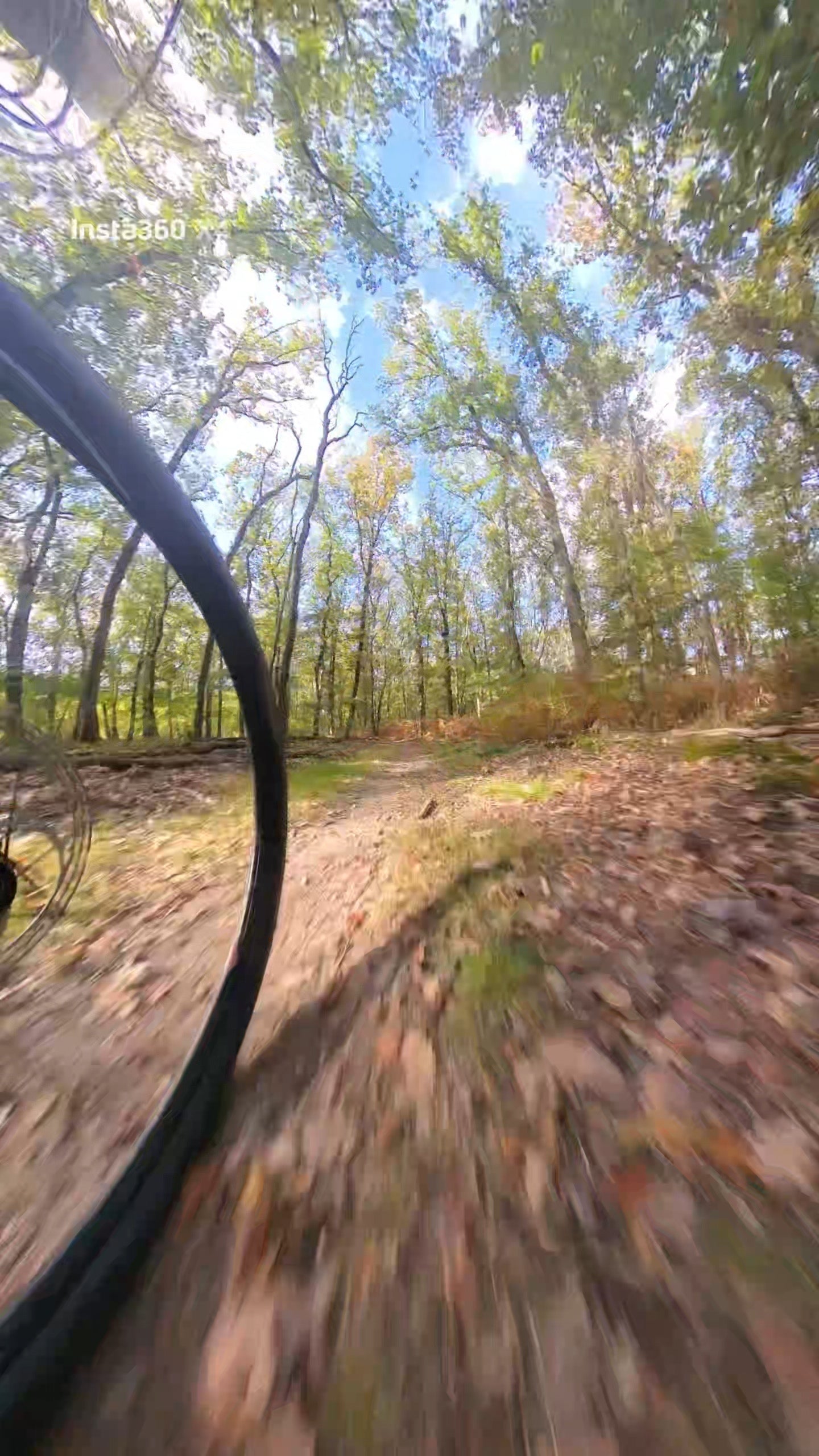 mountainbike verhuur veluwe