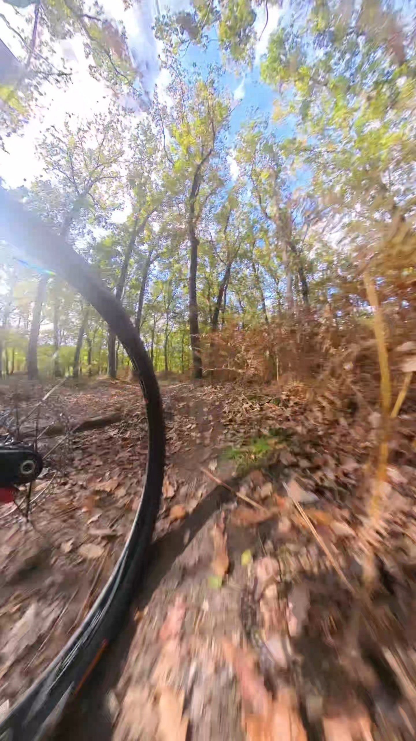 mountainbike verhuur veluwe