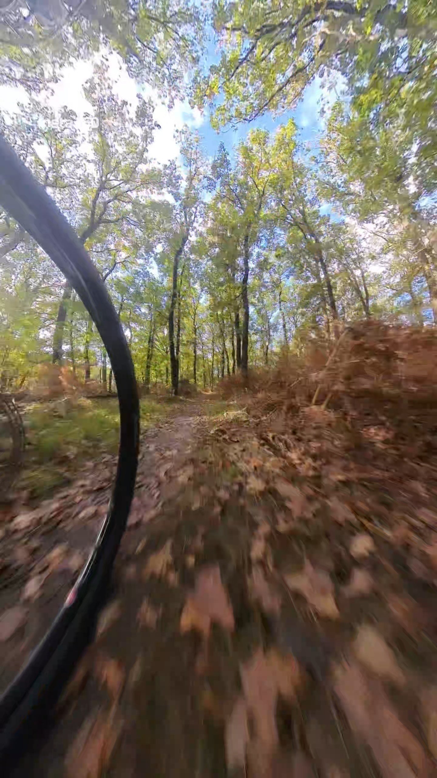 mountainbike verhuur veluwe