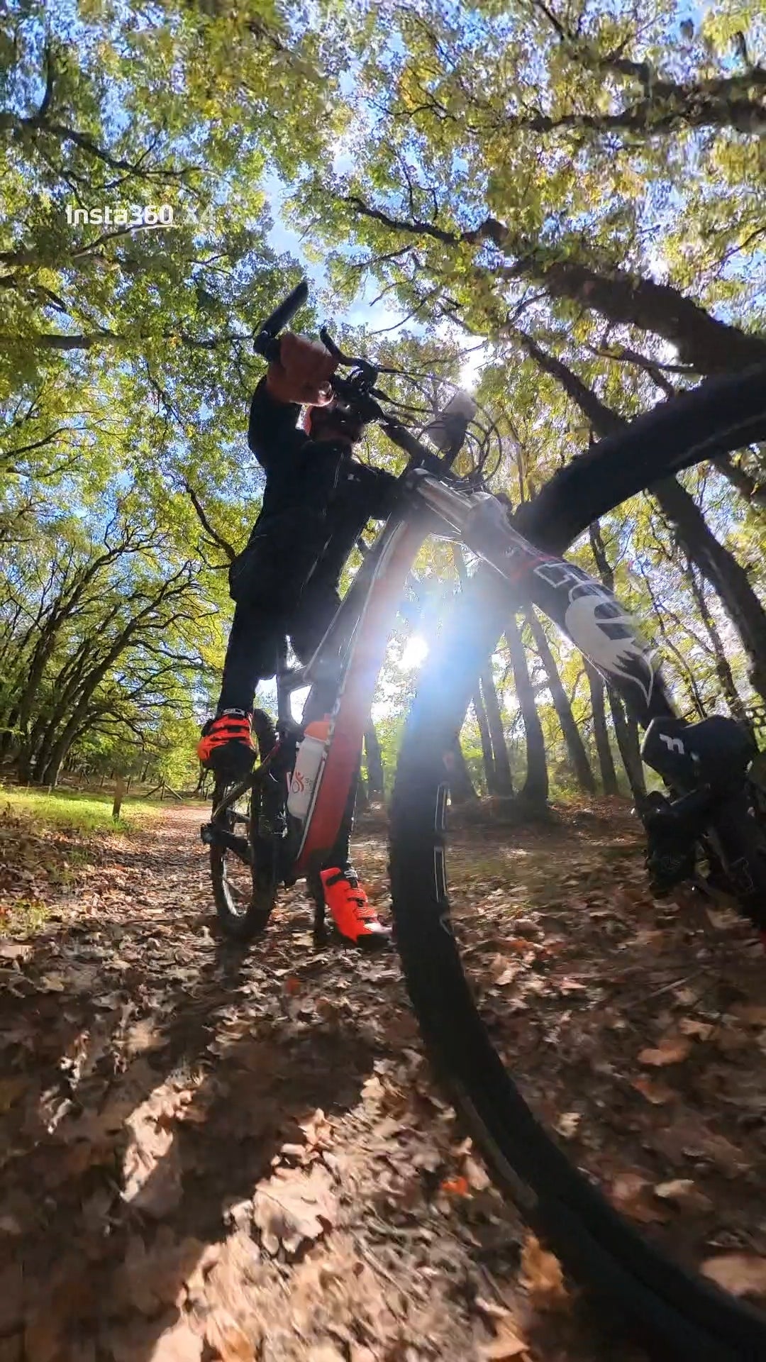 mountainbike verhuur voorthuizen