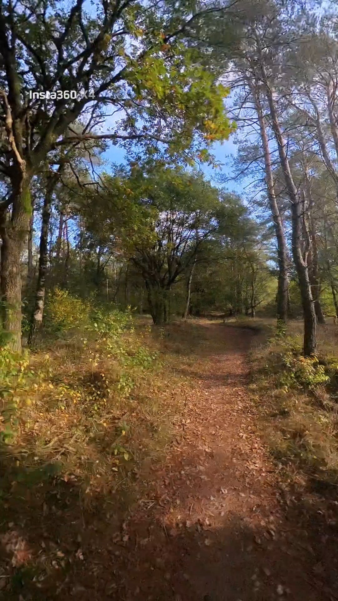 mountainbike verhuur voorthuizen