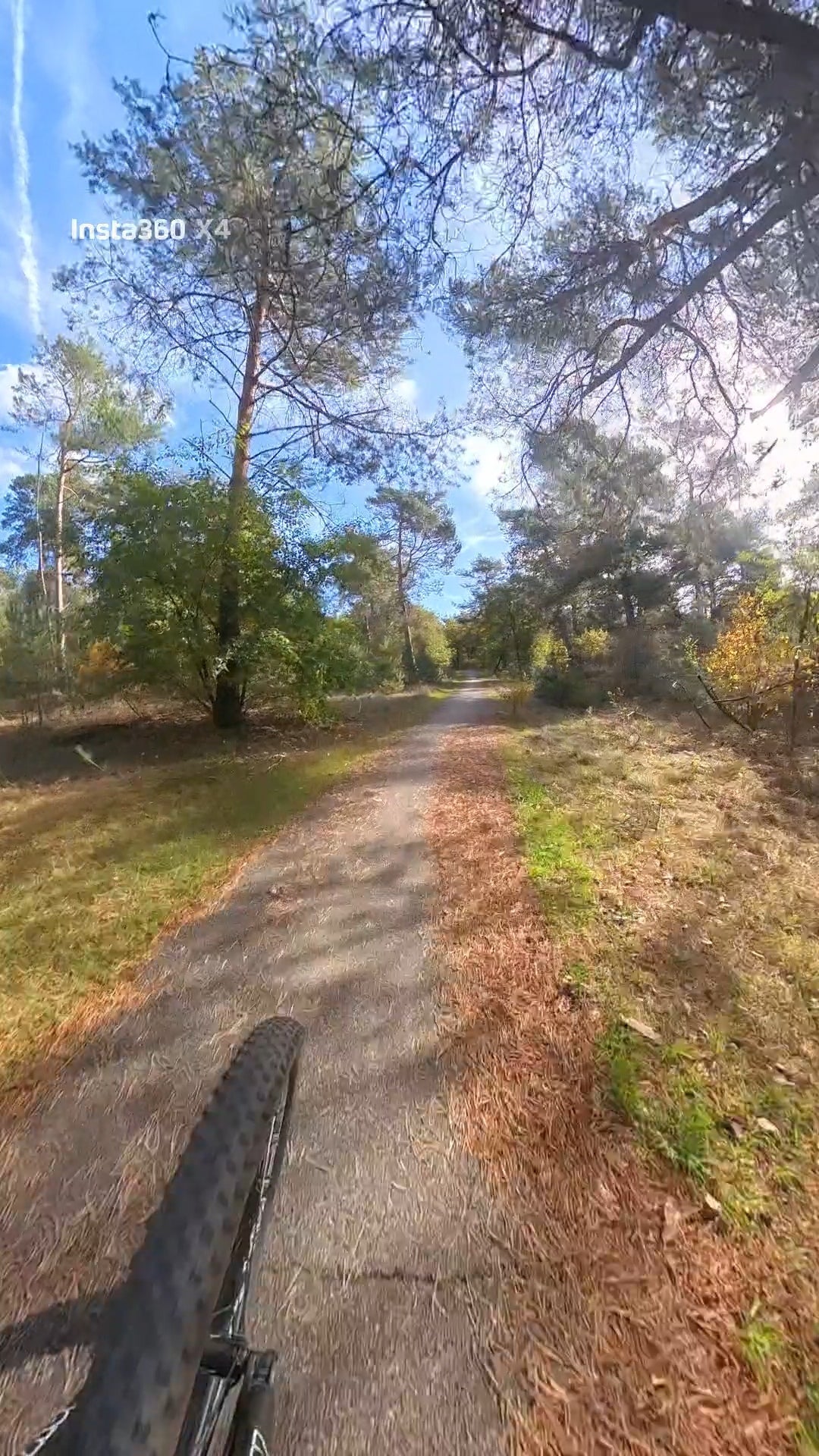 mountainbike verhuur voorthuizen