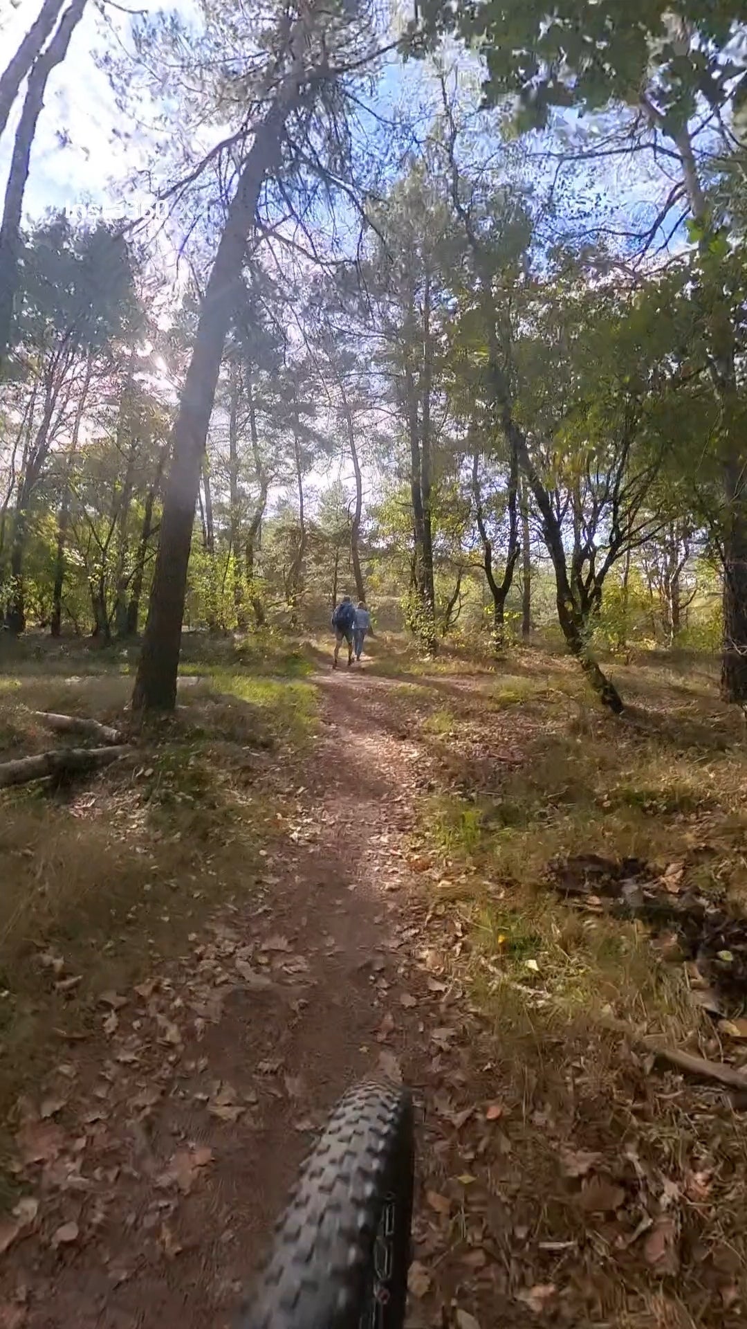 mtb huren voorthuizen