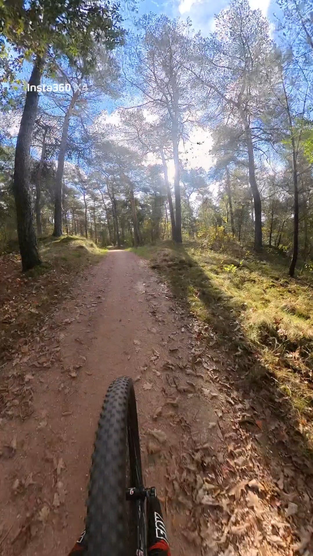 mtb verhuur voorthuizen