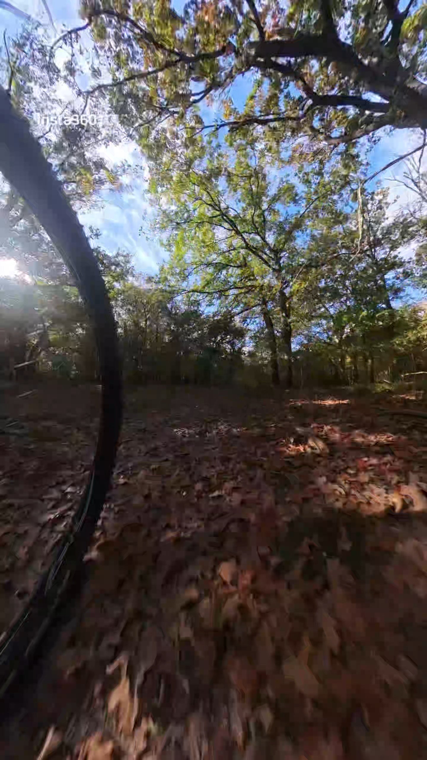 mtb verhuur voorthuizen